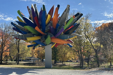 CanoeTree-Steelville